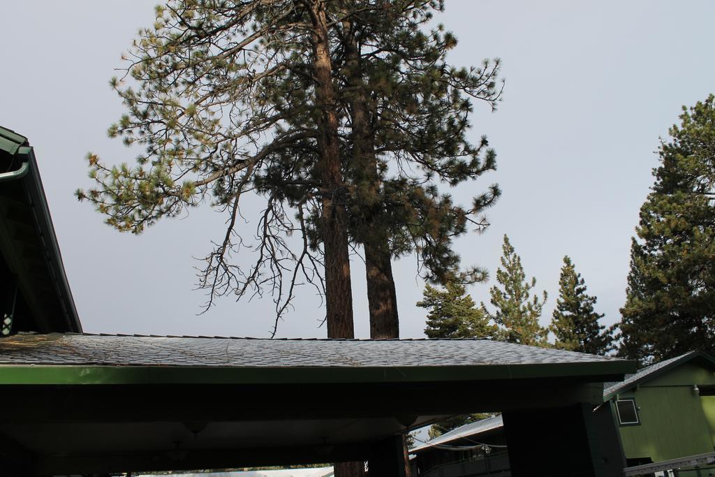 Big Pines Mountain House Motel South Lake Tahoe Exterior foto